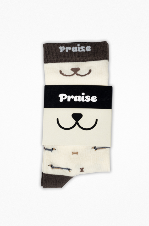 Dachshund Dogs and Bones