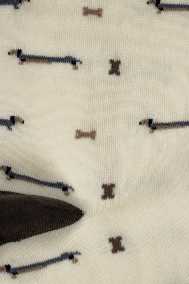 Dachshund Dogs and Bones