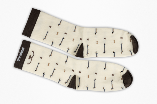 Dachshund Dogs and Bones